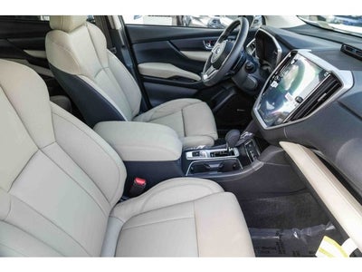 2025 Subaru ASCENT Limited 8 - Passenger