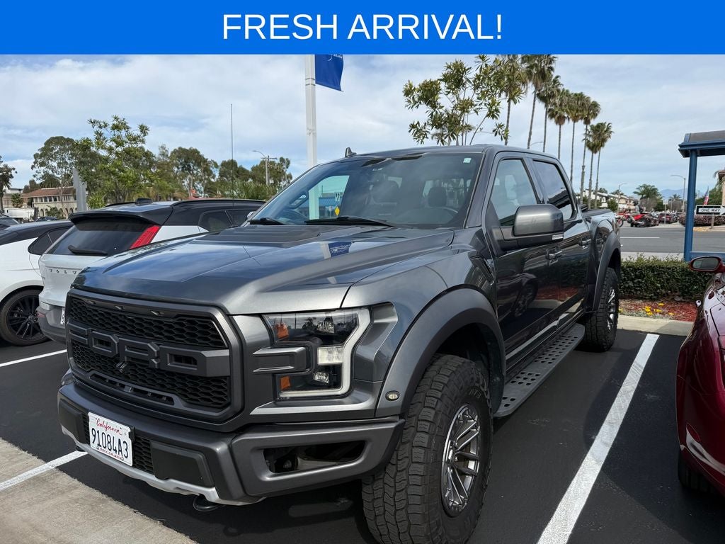 2019 Ford F-150 Raptor