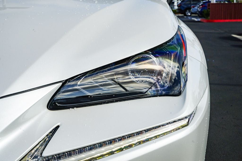 2021 Lexus NX 300 Premium Package