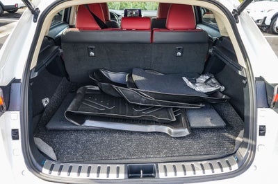 2021 Lexus NX 300 Premium Package