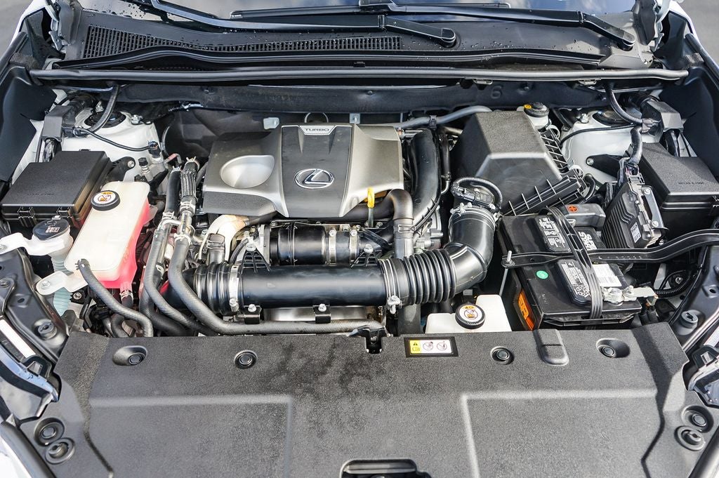 2021 Lexus NX 300 Premium Package