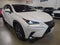 2021 Lexus NX 300 Premium Package