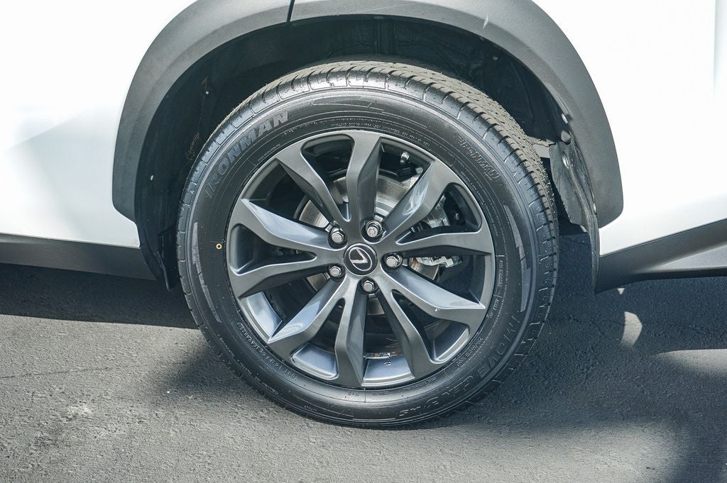 2019 Lexus NX 300 F Sport