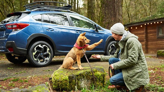 Sutherlin Subaru Huntington Beach in Huntington Beach CA