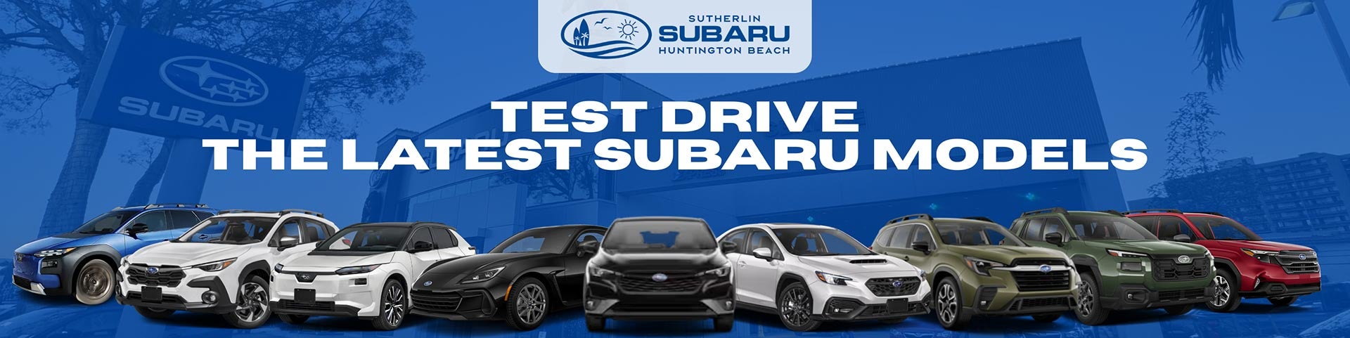 Test Drive Experience