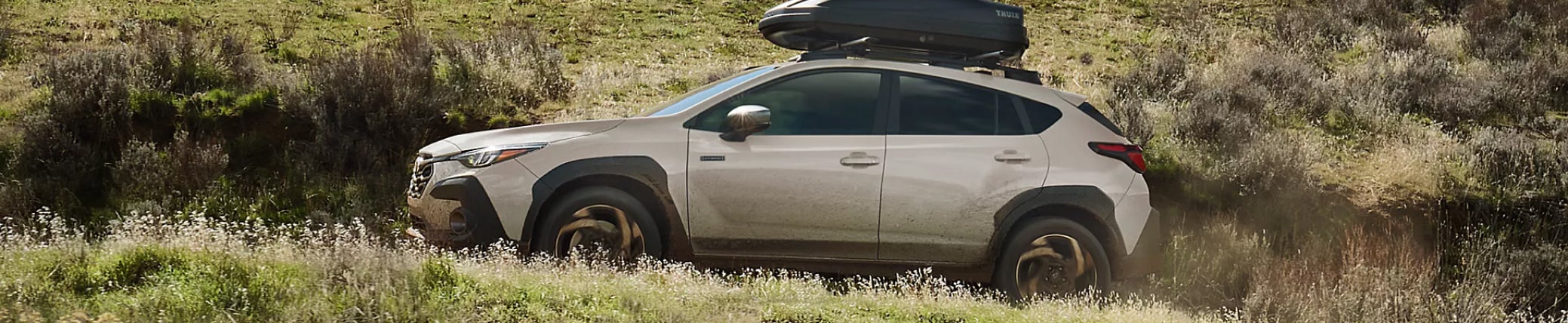 subaru service near long beach, ca